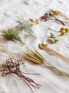 天然风干植物花卉散装DIY手工材料花环礼品包装干花小花束森系风