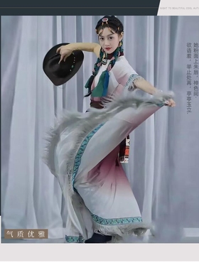 藏族舞蹈演出服装藏式少数民族女学生艺考舞蹈练习舞蹈半身长裙