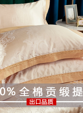 欧式轻奢2024新款品牌枕头套枕芯套纯棉全棉单双人床上用品一对装