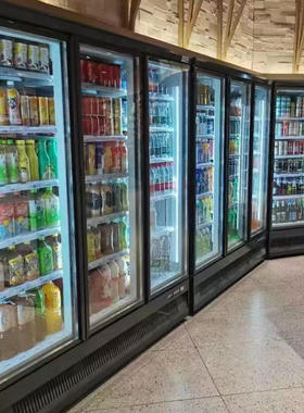 立式双门冷冻柜展示柜冰柜商用小型低温盒马生鲜风冷无霜保鲜柜