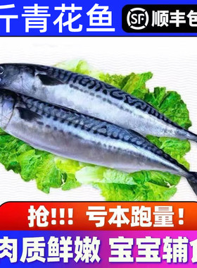 舟山青花鱼海鲜冷冻水产5斤青占鱼鲜活新鲜海鱼青鱼日式料理烧烤