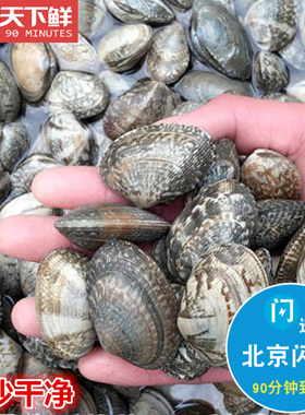 500g 北京闪送 新鲜花甲 海鲜鲜活 花蛤 蛤蜊 花蚬子 贝类 水产