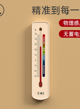 绿林温度计家用室内精准壁挂式婴儿房冰箱气温室温干温湿度计表