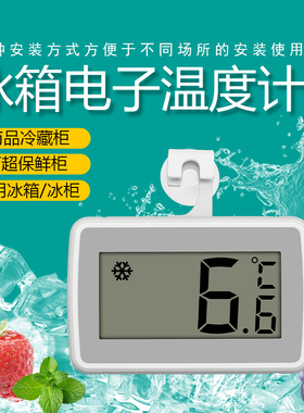 家用高精度冰箱专用温度计冷冻药房厨房冷柜留样冷藏电子温湿度计