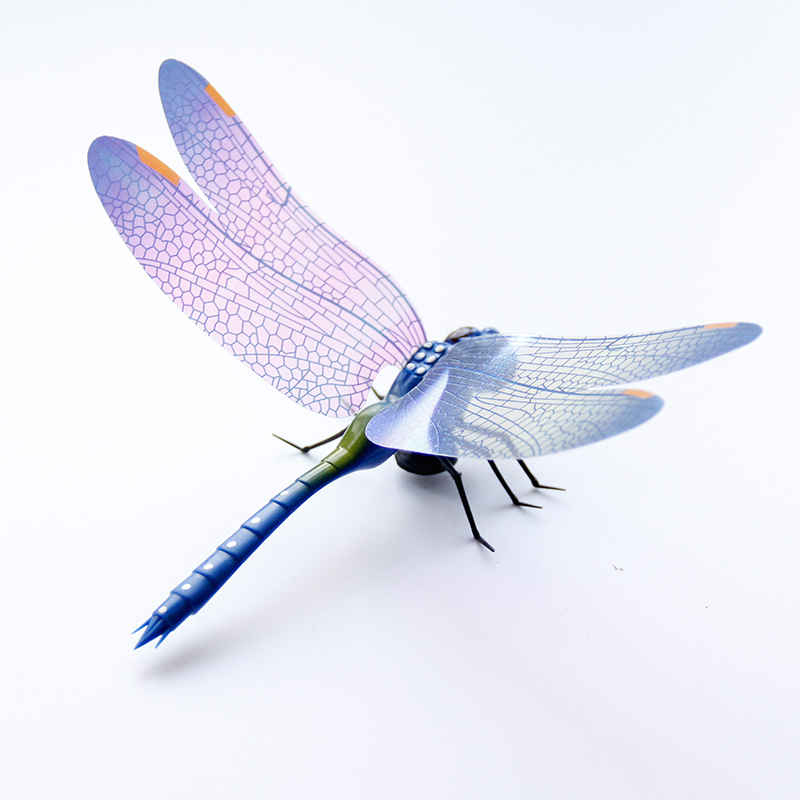 3d立体仿真蜻蜓蝴蝶磁贴 创意家居装饰昆虫磁性冰箱贴磁力贴