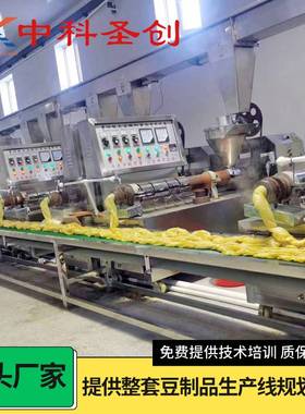 大型牛排豆皮机生产线设备 豆制食品机械全自动人造肉机