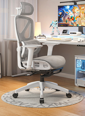 人体工学椅电脑椅家用椅子久坐舒服宿舍靠背书桌电竞椅办公室座椅
