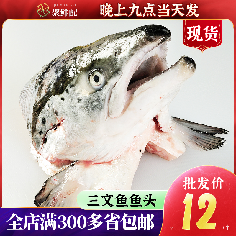 挪威进口三文鱼鱼头400~500g 剁椒鱼头生鲜烧烤炖汤食材海鲜水产
