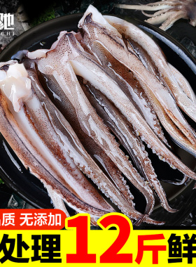 新鲜鱿鱼须鲜活冷冻尤鱼串腿生鲜章鱼二本足海鲜水产铁板鱿鱼商用