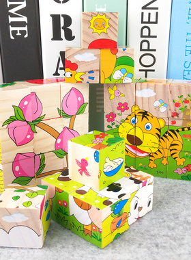 宝宝智力开发木质六面画9粒立体拼图积木幼儿园儿童早教益智玩具
