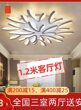 现代简约家装吸顶灯异形客厅LED灯具个性创意卧室大气灯具亚克力