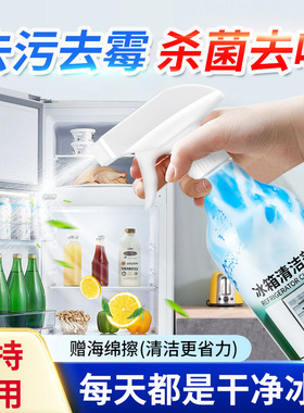 冰箱清洁剂去污去霉斑胶圈胶条专用清洗剂家用除味剂除臭去味净化