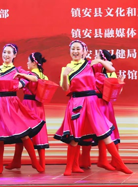 藏族舞蹈服装洗衣歌演出服少数民族风服饰新款藏族女中老年表演服