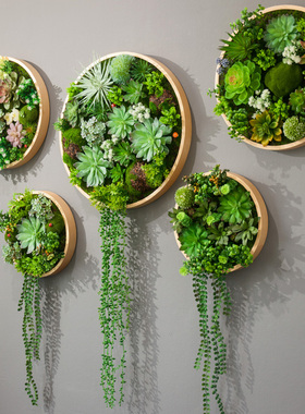 圆形仿真多肉绿植框壁挂北欧现代绿植墙立体壁饰高仿植物墙装饰品