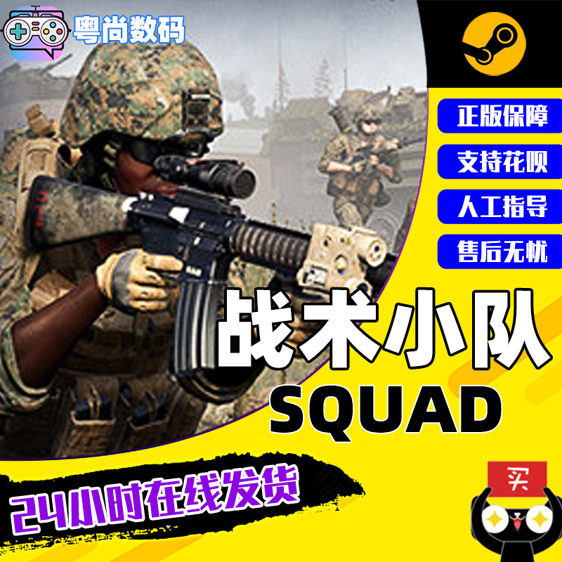 PC正版steam游戏  Squad 战术小队 行动小组 国区 全球激活码 多人