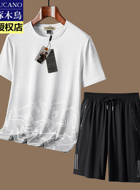 啄木鸟夏季休闲短袖运动套装男士冰丝圆领t恤短裤搭配男装一整套