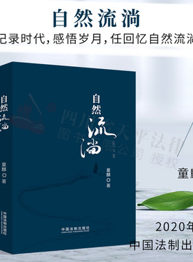 正版 自然流淌 童麟 文学读物 中国文学 文学回忆录 宏观了解社会进程文本