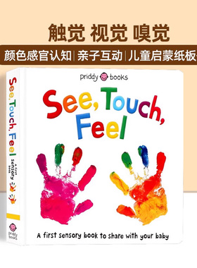 触觉视觉嗅觉感官认知触摸书英文原版绘本 See Touch Feel A First Sensory Book幼儿童早教启蒙英语读物亲子互动游戏书内附小镜子