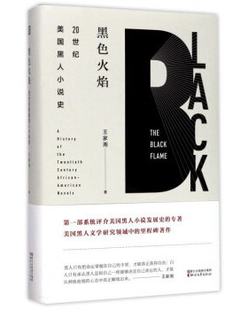 黑色火焰-20世纪美国黑人小说史 浙江文艺出版社 家湘 文学书籍