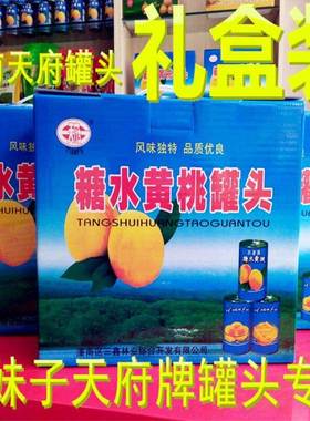 正宗包装重庆23年新货潼南特产天府牌糖水黄桃8个礼盒装水果罐头