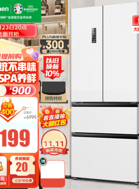 Ronshen/容声 BCD-509WD18MP法式多门冰箱家用四门一级能效双系统