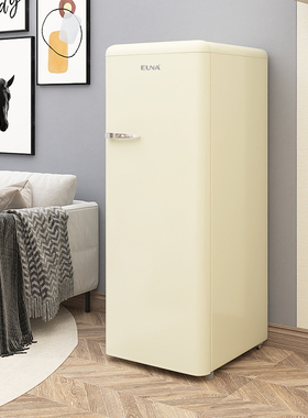 EUNA/优诺 BD-160R全冷冻家用复古冰箱国际品质节能静音立式冰柜