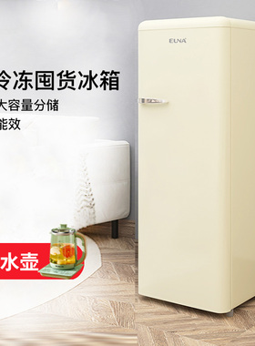 一级能效全冷冻复古冰箱家用单门冷柜大容量EUNA/优诺 BD-160R