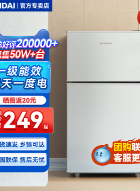 【一级节能】现代小冰箱家用小型双开门租房宿舍单人节能省电冰箱