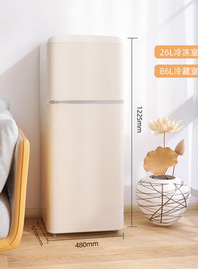 金松 BCD-112JR 复古小冰箱家用小型双门冷藏冷冻办公寓宿舍网红