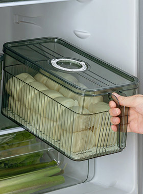 食品级冰箱收纳盒保鲜盒厨房蔬菜水果专用整理神器密封冷冻储藏盒