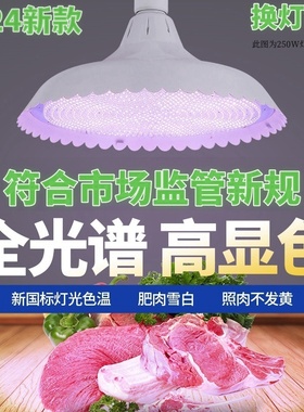 新国标led生鲜猪肉灯熟食灯水果蔬菜卤菜店海鲜超市专用超亮白光