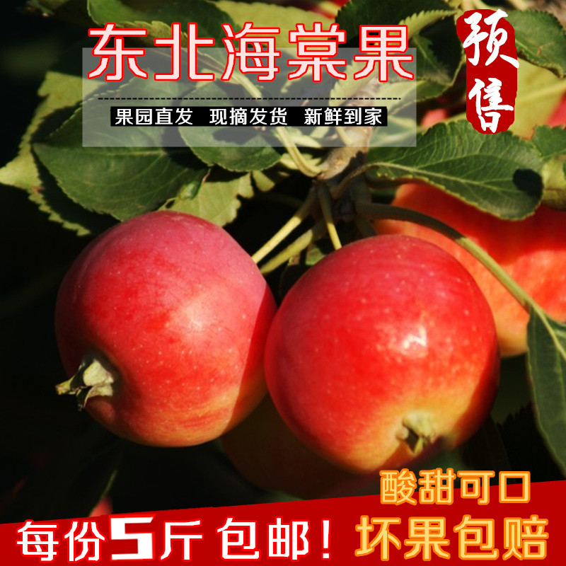 东北沙果 新鲜水果果园现摘发货123小苹果K9沙果 海棠果