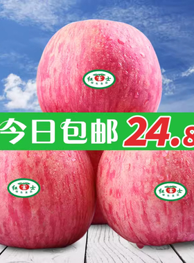 洛川苹果80#新鲜脆甜整箱陕西当季水果多汁不打蜡10斤装红富士