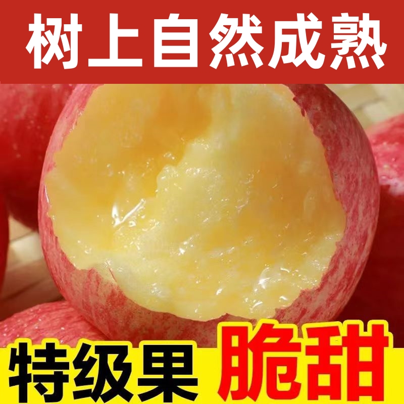 应季水果苹果新鲜水果正宗山东烟台红富士苹果新鲜当季整箱脆甜