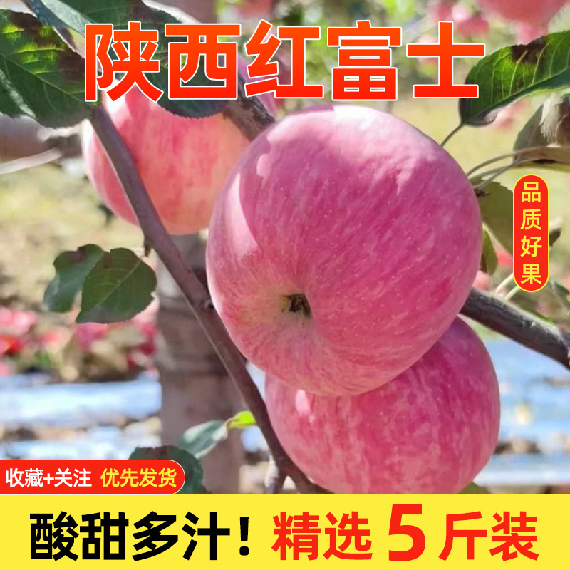 陕西红富士白水苹果当季新鲜水果脆甜中秋国庆春节送礼产地直发呀