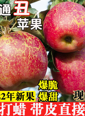 云南昭通冰糖心丑苹果当季的新鲜红富士野生苹果整箱10斤水果包邮