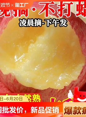 爆款陕西红富士苹果新鲜水果冰糖心应季批发上门送货当季脆甜营养