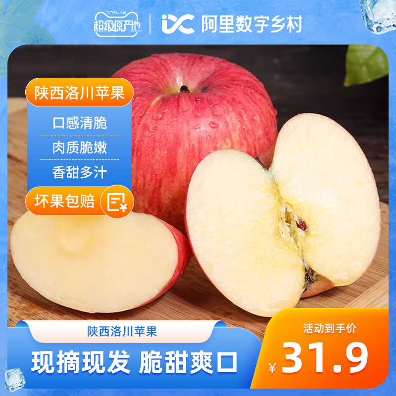 【数乡宝藏】陕西洛川苹果4.8斤水果新鲜应当季苹果整箱a
