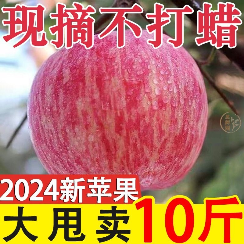 全网爆款陕西苹果脆甜红富士新鲜水果应季批发丑苹果整箱大果