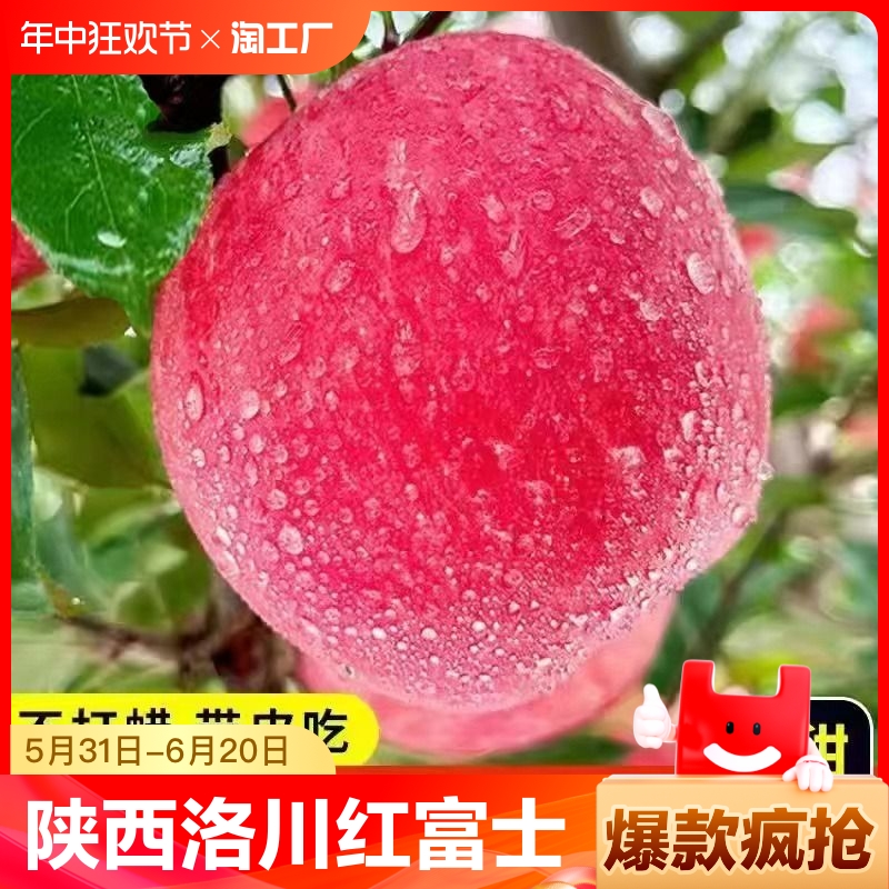 【洛川红富士】正宗陕西洛川苹果整箱应季当季水果冰糖心新鲜脆甜