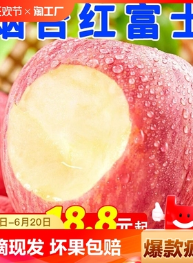 【特价】山东烟台红富士苹果新鲜水果应当季整箱萍果脆甜10丑平果