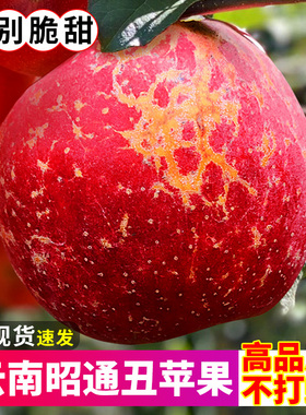 云南昭通丑苹果新鲜水果当季整箱嘎啦冰糖心脆甜红富士平果10