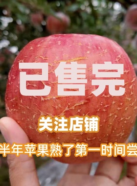 娜娜苹果园山西运城临猗红富士苹果水果新鲜冰糖心苹果现摘当季新