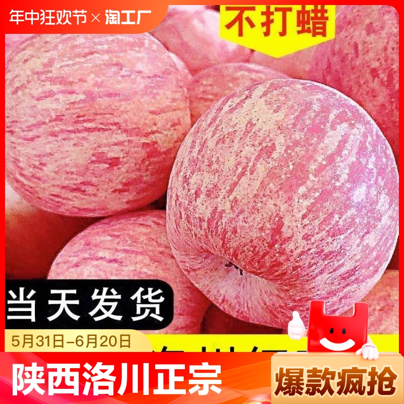 正宗陕西洛川苹果水果新鲜当季延安红富士脆甜6整箱产地直发现摘