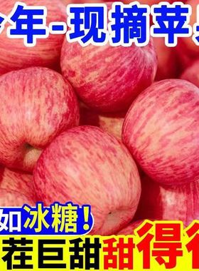 陕西延安洛川红富士苹果脆甜多汁孕妇新鲜水果产地直发一整箱包邮