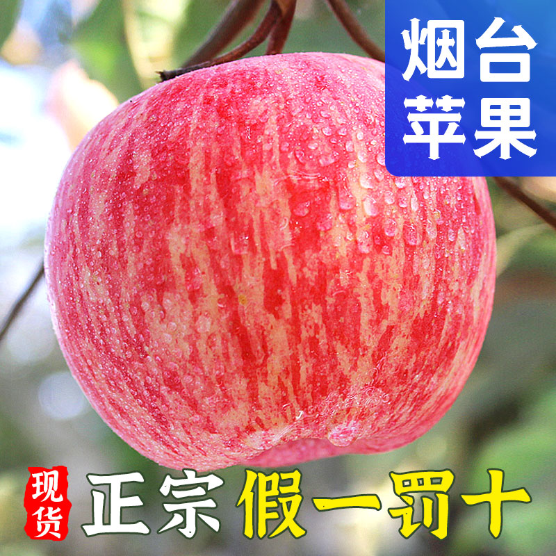烟台红富士苹果新鲜水果10斤当季正宗山东栖霞冰糖心苹果整箱包邮
