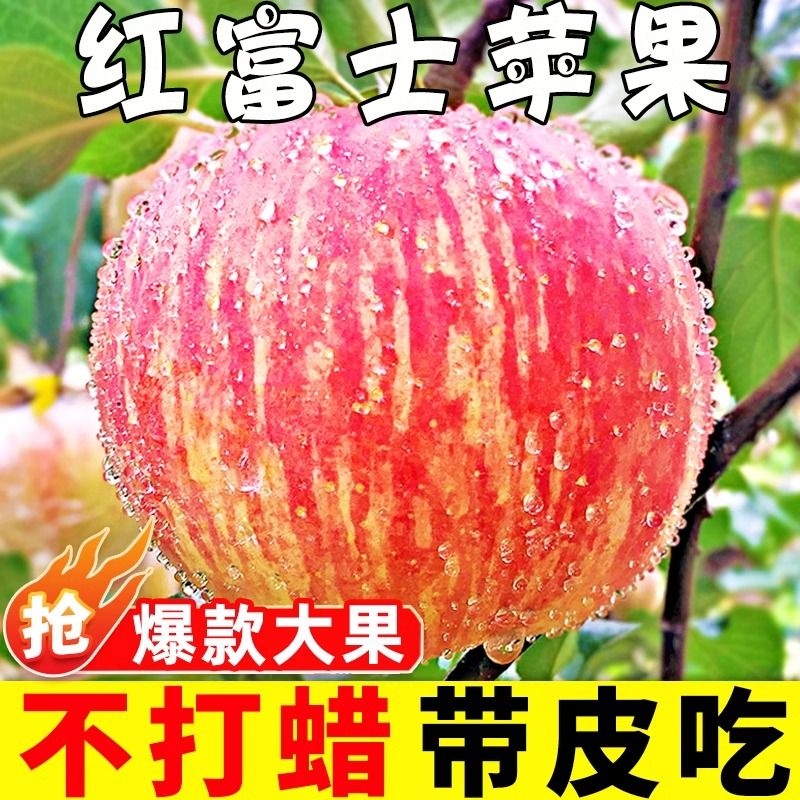 洛川苹果新鲜水果批发冰糖心红富士丑苹果5斤/9斤多规格可选烟台