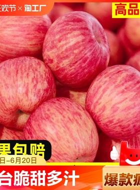 烟台红富士苹果正宗山东栖霞萍果水果脆甜10斤新鲜苹果直发现摘