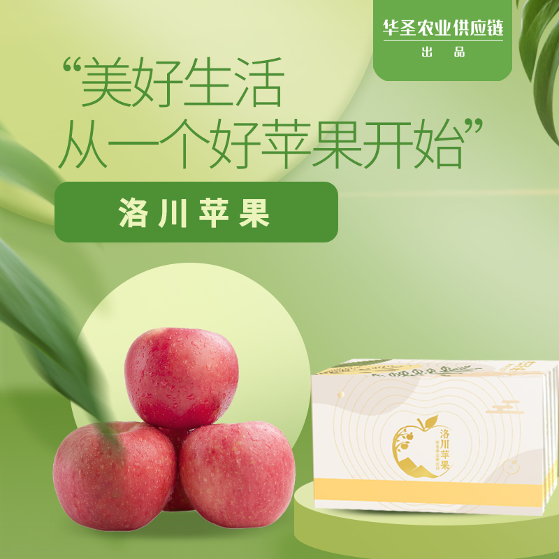 【华圣】陕西洛川红富士时令苹果当季新鲜水果冰糖心脆甜一提就走