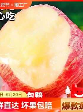 陕西洛川苹果10斤新鲜水果红富士当季整箱冰糖心脆甜苹果原产地